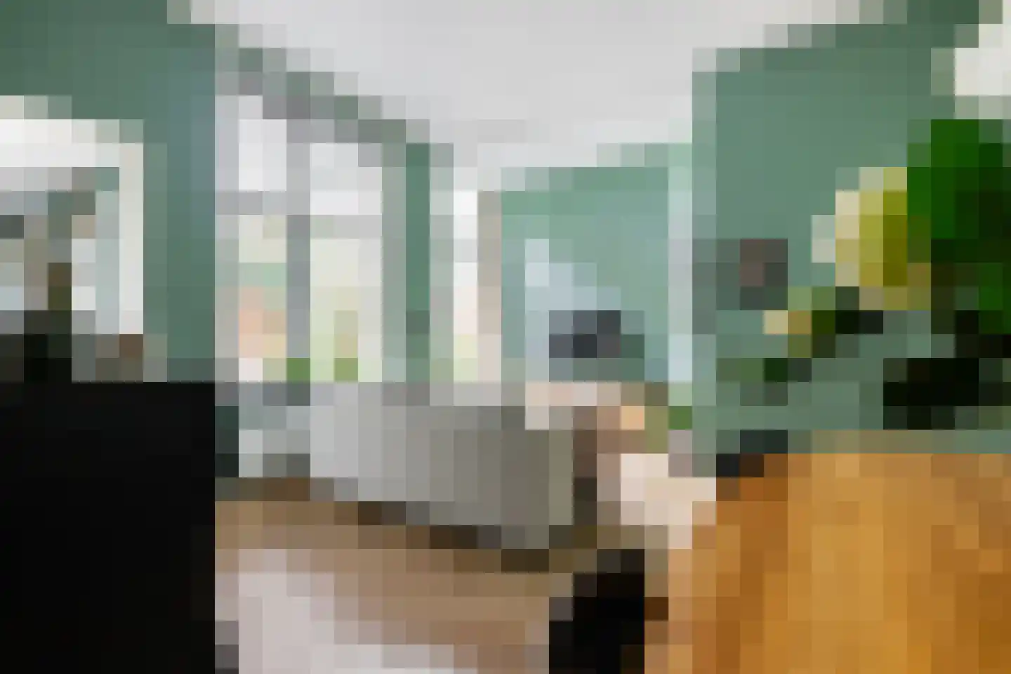 Ganzevoortsingel 42 Groningen thumbnail 16