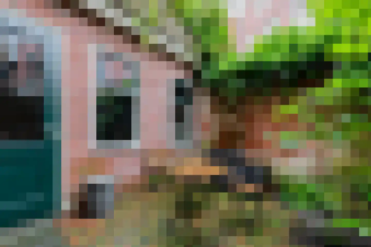 Ganzevoortsingel 42 Groningen thumbnail 28