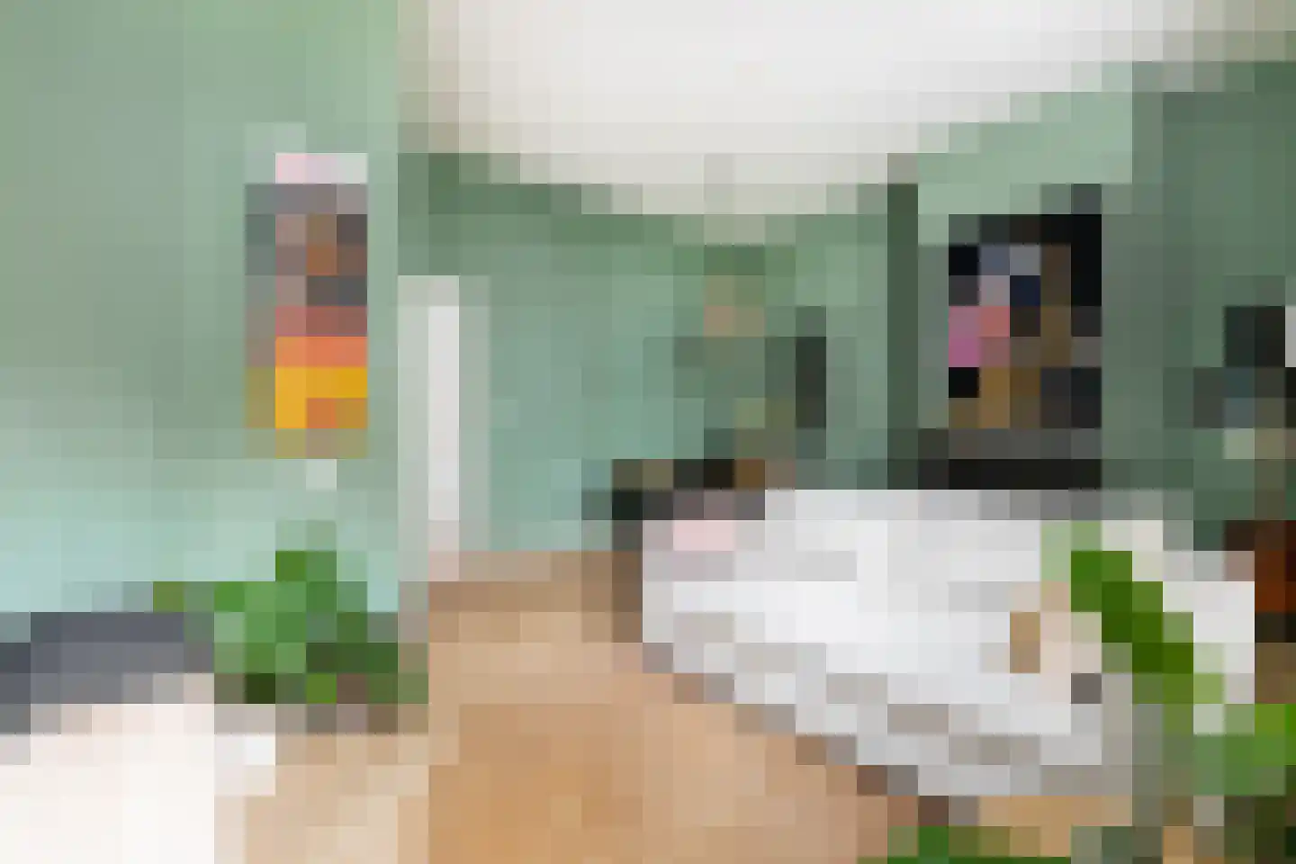 Ganzevoortsingel 42 Groningen thumbnail 5