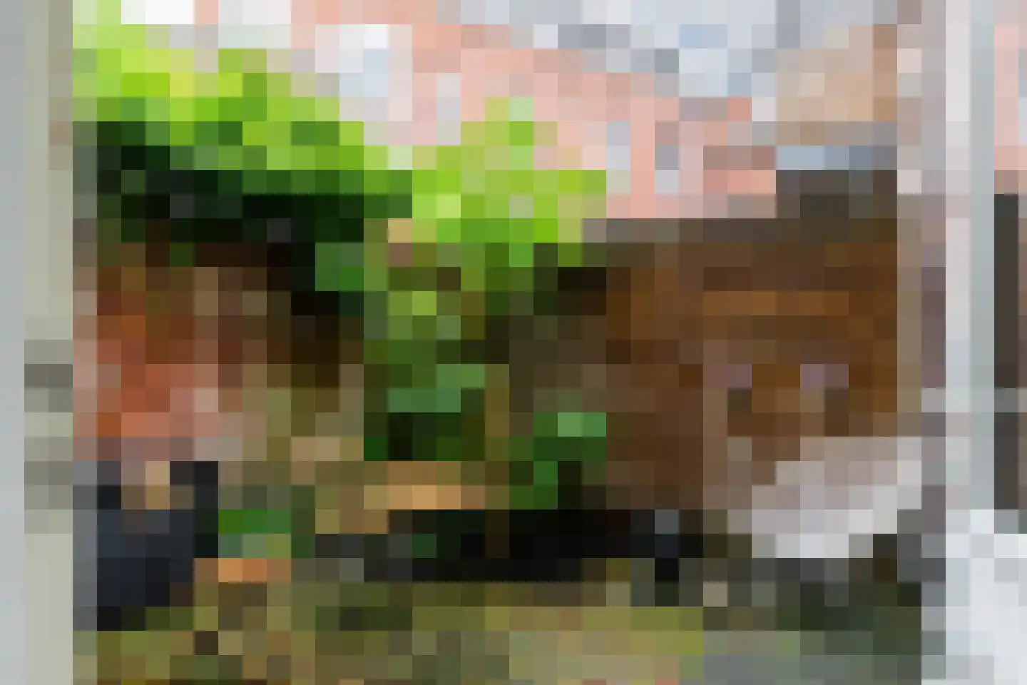 Ganzevoortsingel 42 Groningen thumbnail 7