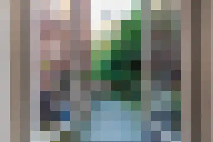 Ganzevoortsingel 55 a Groningen thumbnail 21