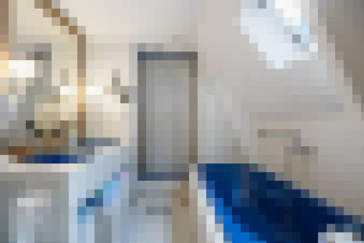Ganzevoortsingel 55 a Groningen thumbnail 32