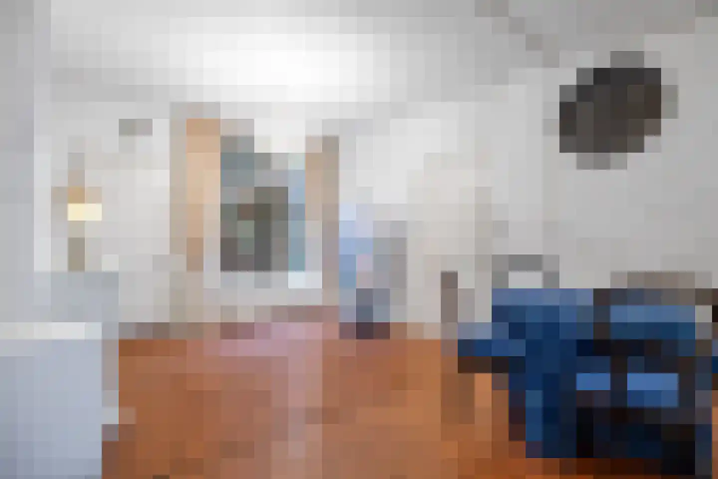 Ganzevoortsingel 55 Groningen thumbnail 19