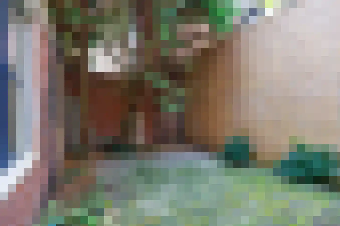 Ganzevoortsingel 55 Groningen thumbnail 22