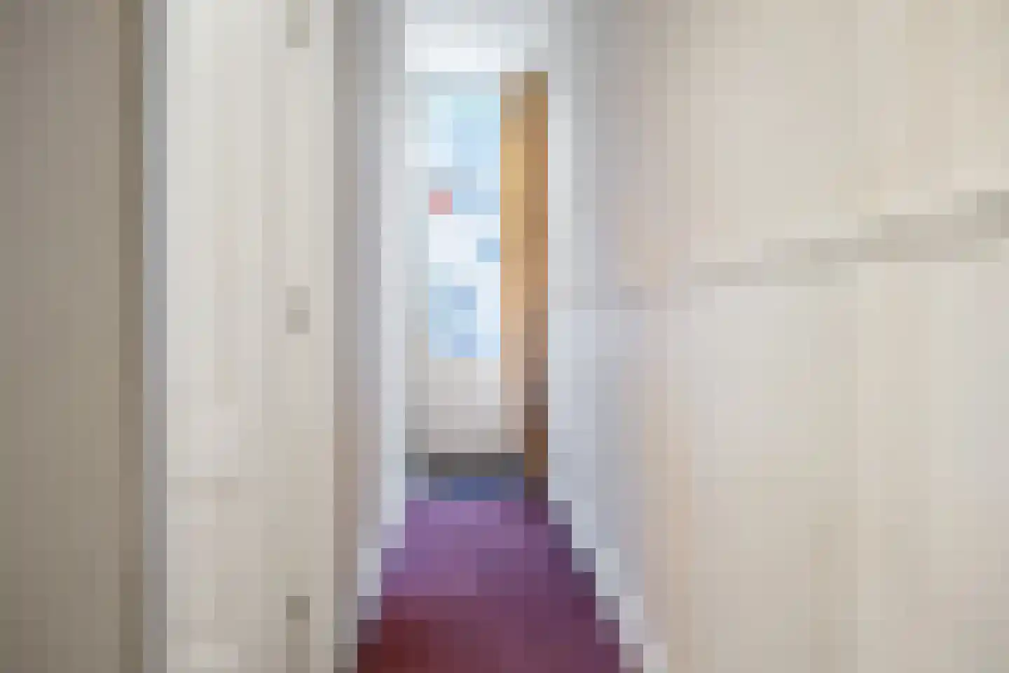 Ganzevoortsingel 55 Groningen thumbnail 28