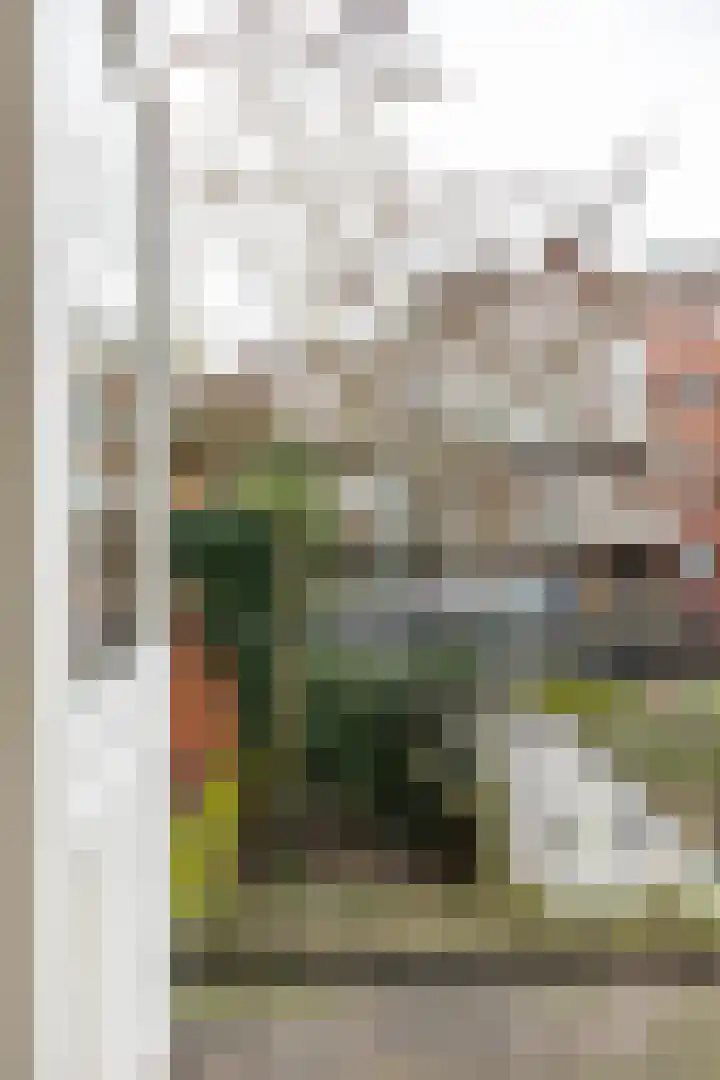 Ganzevoortsingel 59 a Groningen thumbnail 23