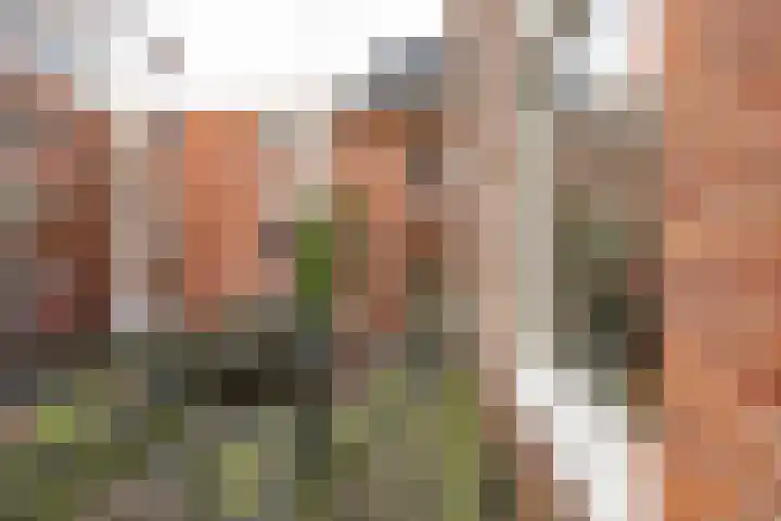 Ganzevoortsingel 59 a Groningen thumbnail 24