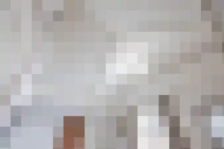 Ganzevoortsingel 59 a Groningen thumbnail 34
