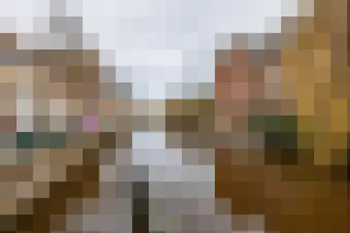 Ganzevoortsingel 59 a Groningen thumbnail 42