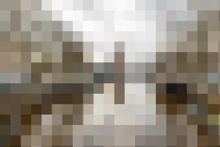 Ganzevoortsingel 59 a Groningen thumbnail 43