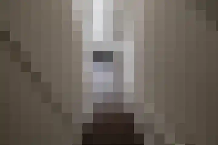 Ganzevoortsingel 59 a Groningen thumbnail 6