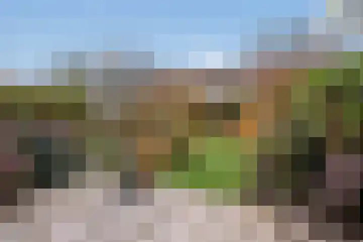 Ganzewater 47 Zoetermeer thumbnail 11