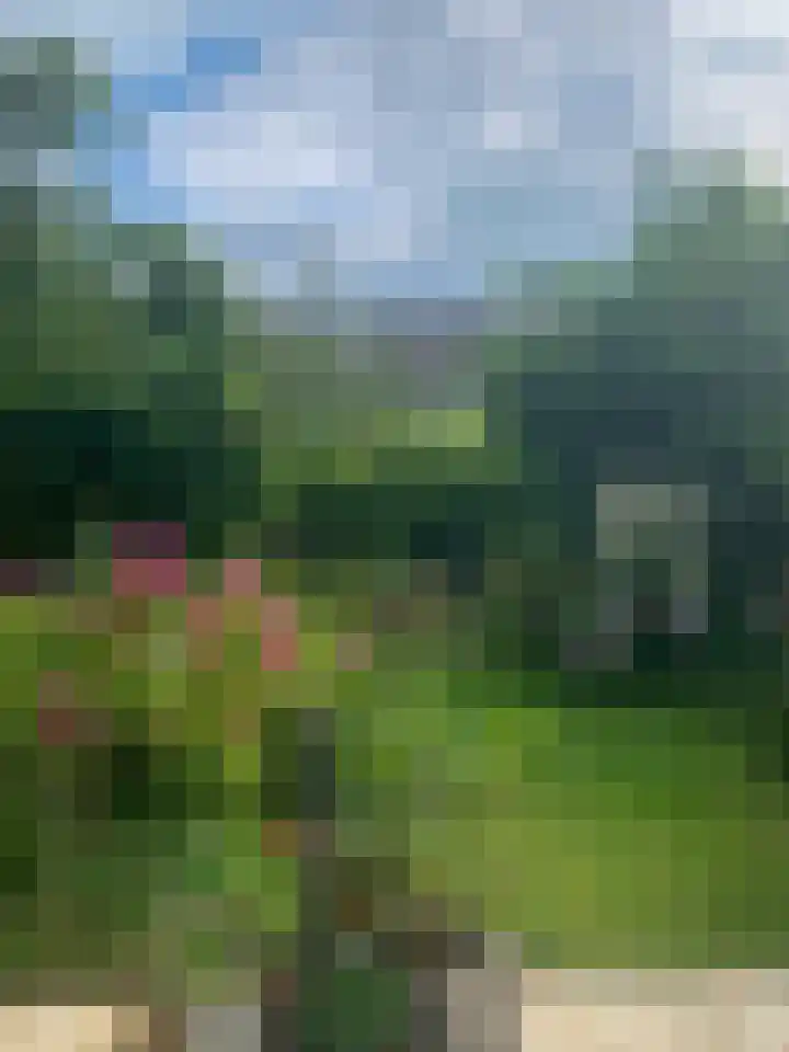 Ganzewater 47 Zoetermeer thumbnail 12