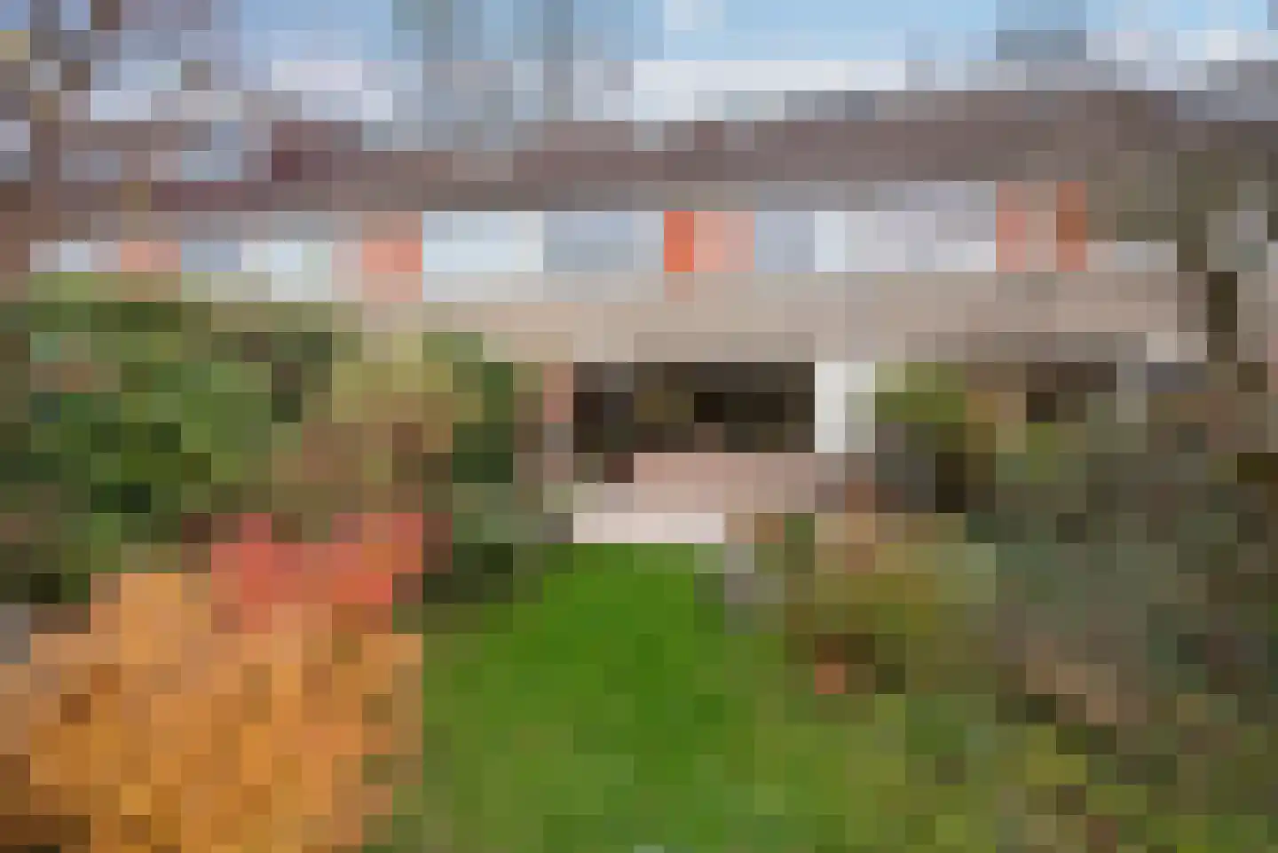 Ganzewater 47 Zoetermeer thumbnail 15