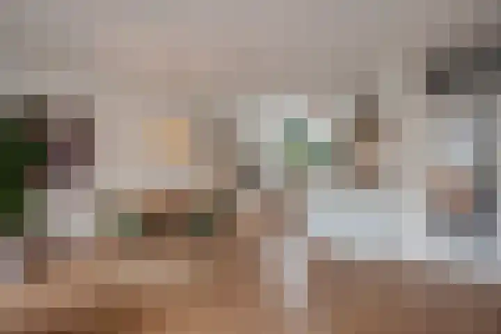 Ganzewater 47 Zoetermeer thumbnail 18