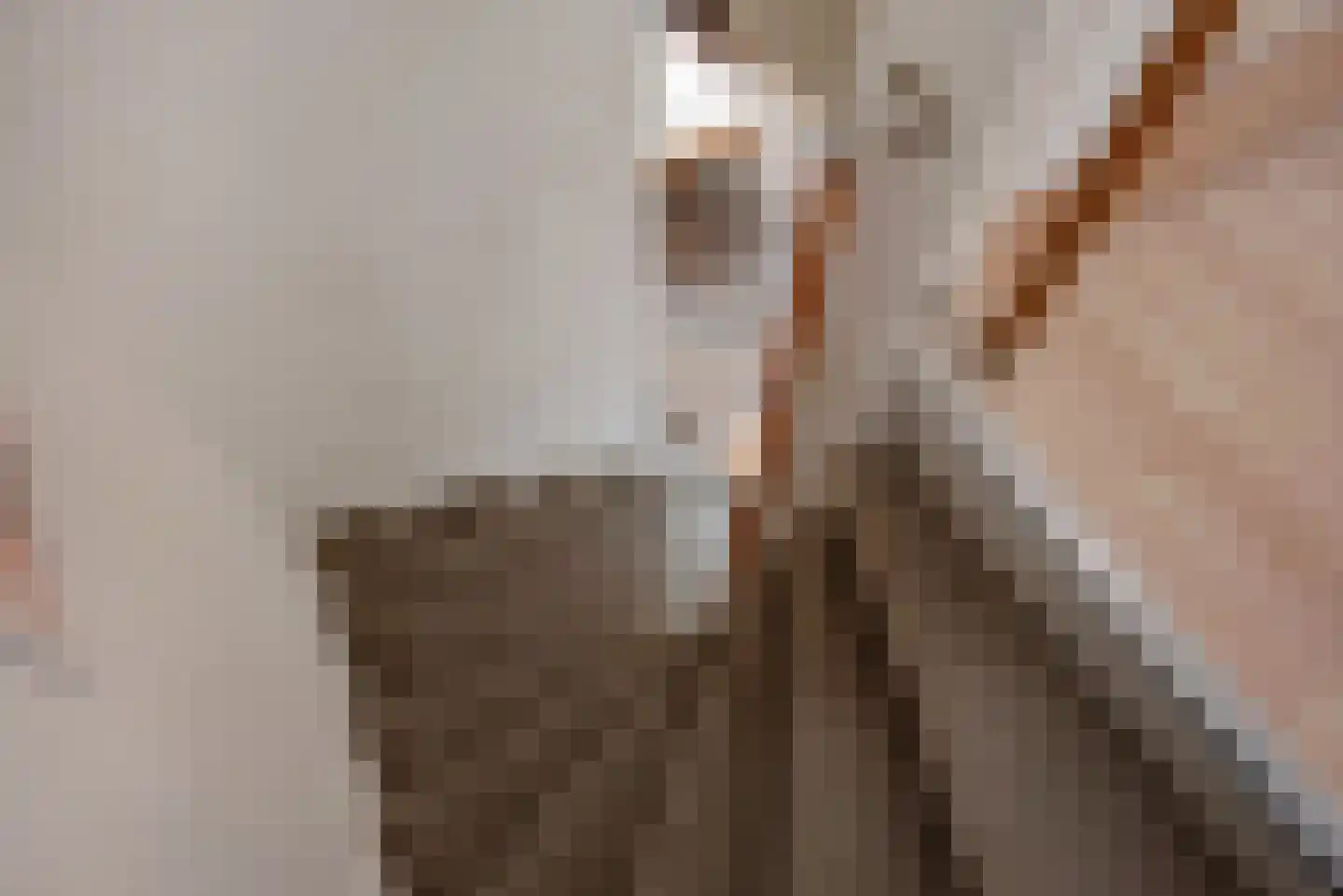 Ganzewater 47 Zoetermeer thumbnail 26