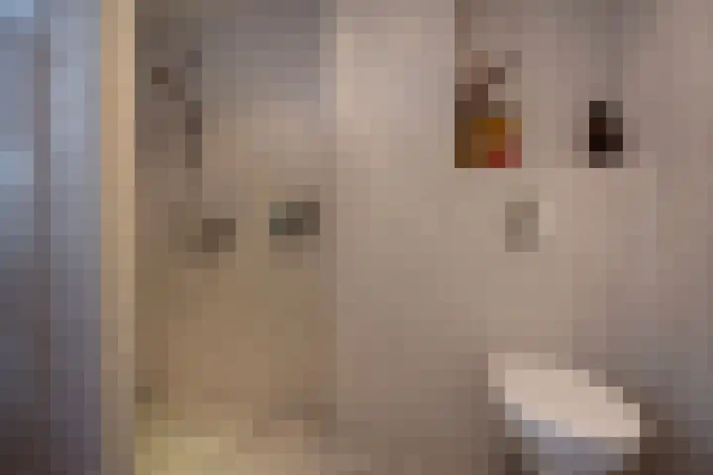 Ganzewater 47 Zoetermeer thumbnail 30