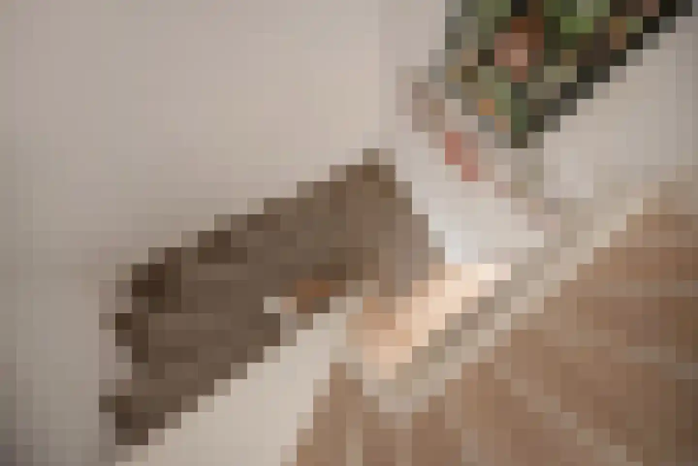 Ganzewater 47 Zoetermeer thumbnail 35