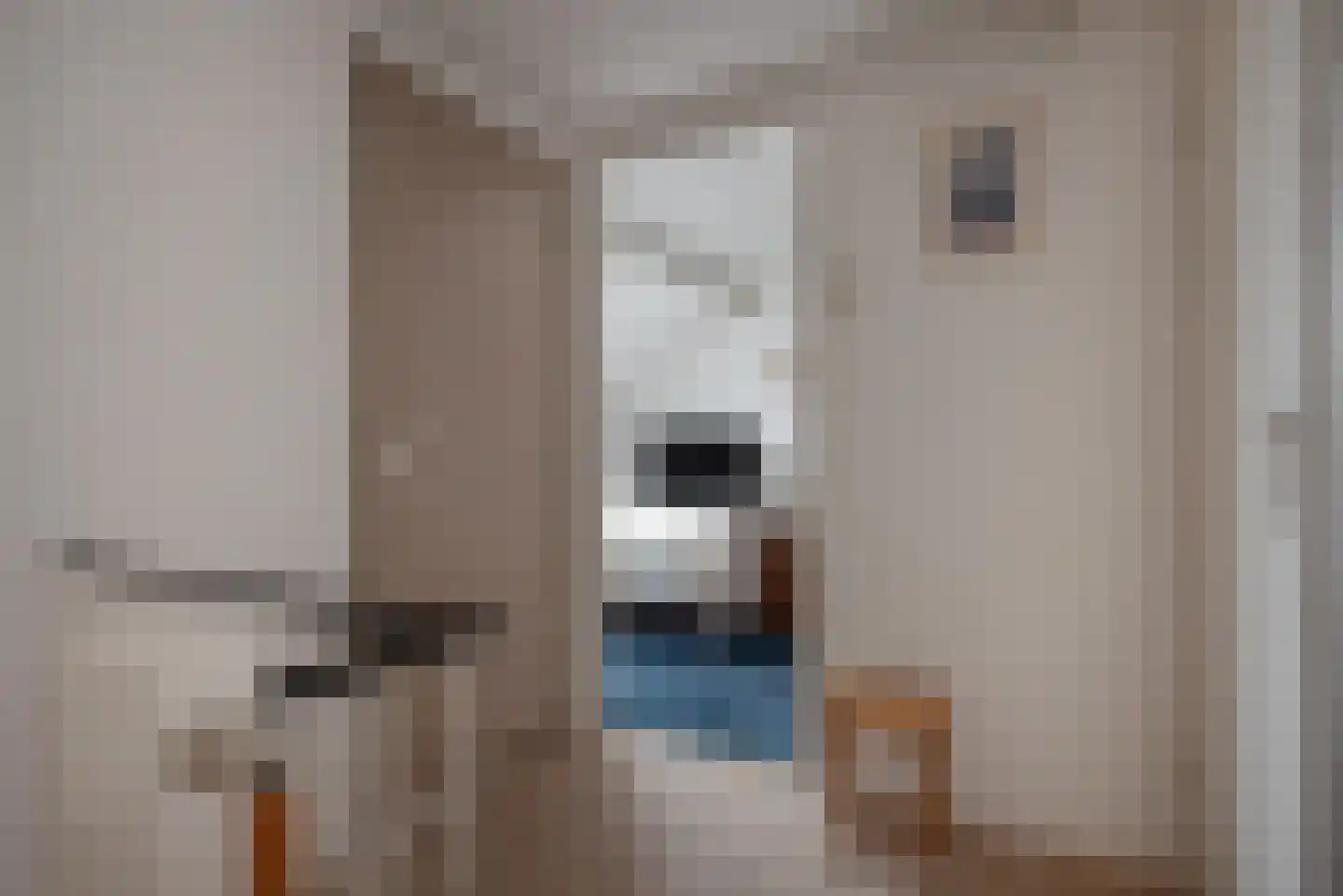 Ganzewater 47 Zoetermeer thumbnail 36