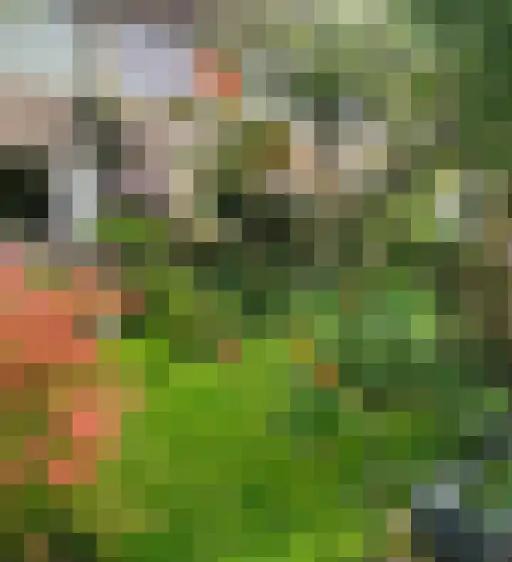 Ganzewater 47 Zoetermeer thumbnail 39