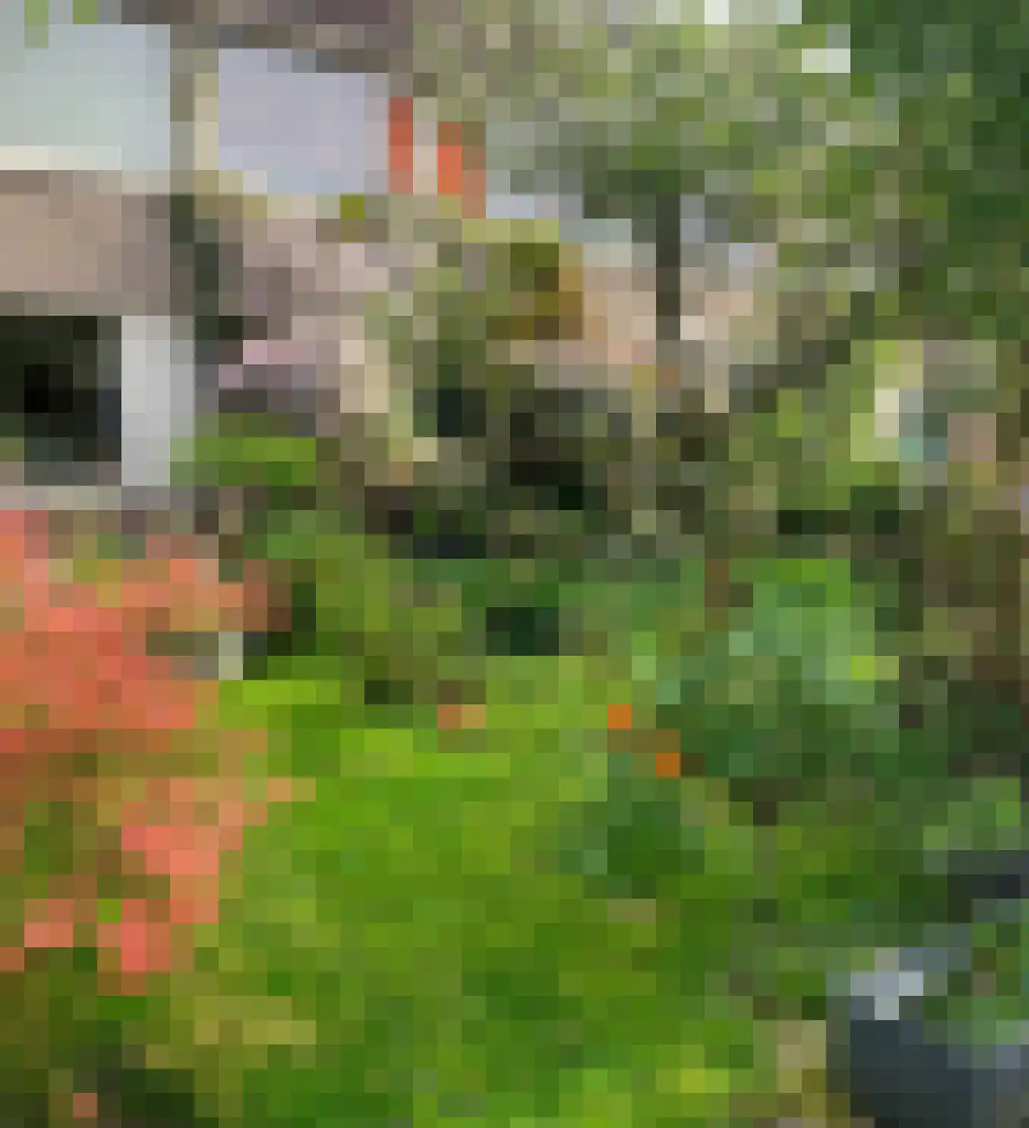 Ganzewater 47 Zoetermeer thumbnail 39