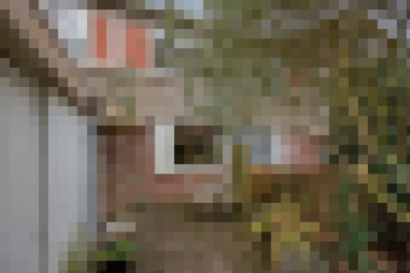 Ganzewater 47 Zoetermeer thumbnail 7