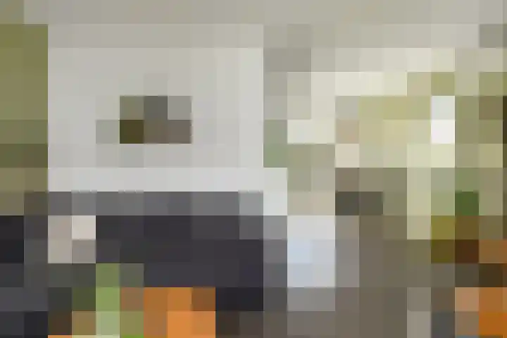 Ganzewei 12 Elst thumbnail 10