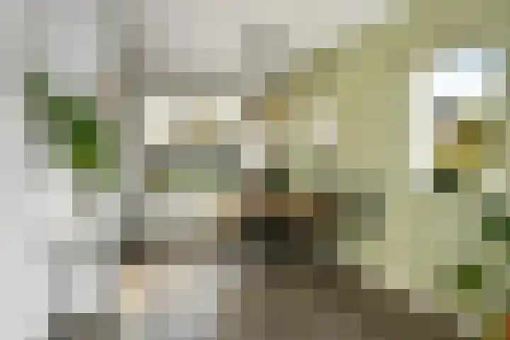 Ganzewei 12 Elst thumbnail 11