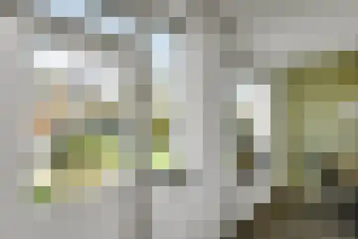 Ganzewei 12 Elst thumbnail 18