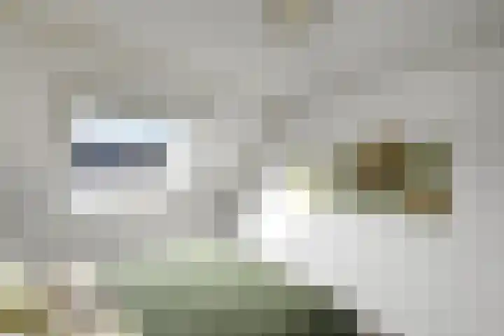 Ganzewei 12 Elst thumbnail 22
