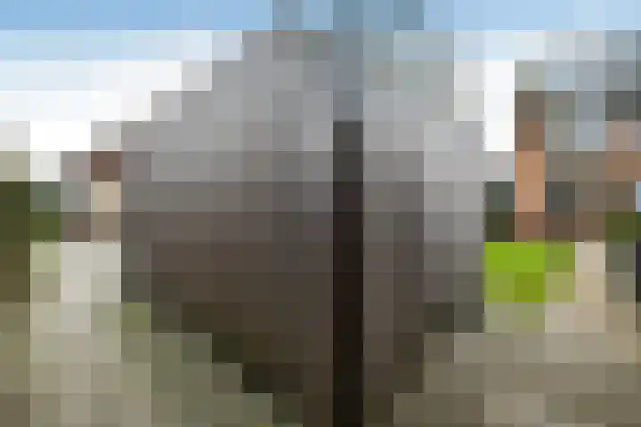 Ganzewei 12 Elst thumbnail 45