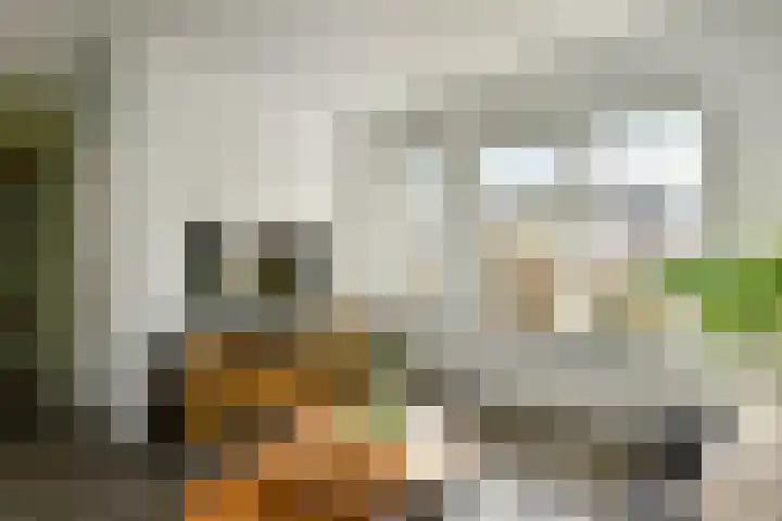 Ganzewei 12 Elst thumbnail 7
