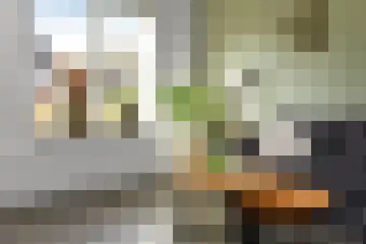 Ganzewei 12 Elst thumbnail 8