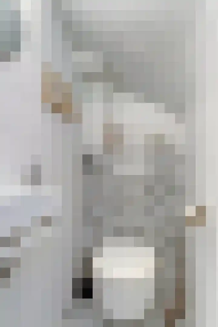 Ganzewei 14 Elst thumbnail 10
