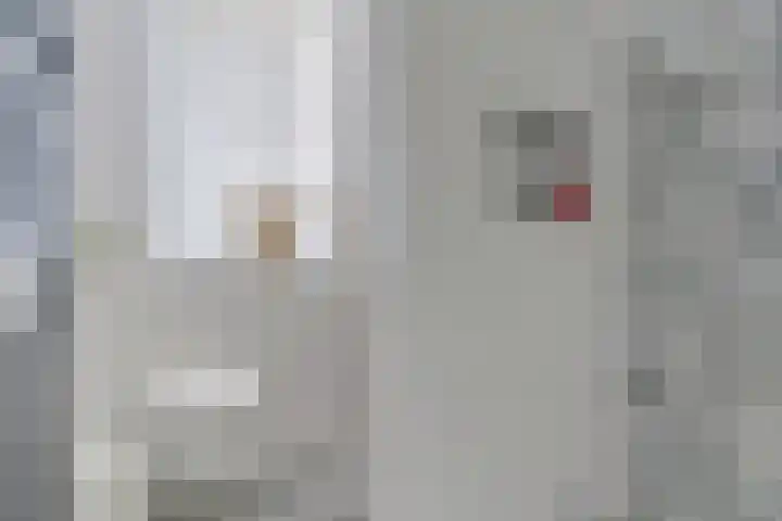 Ganzewei 14 Elst thumbnail 11