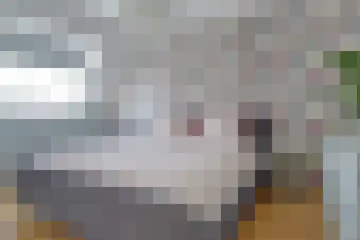 Ganzewei 14 Elst thumbnail 15