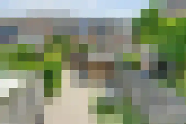 Ganzewei 14 Elst thumbnail 25