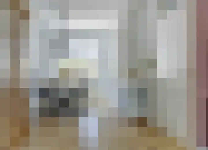 Ganzewei 14 Elst thumbnail 6