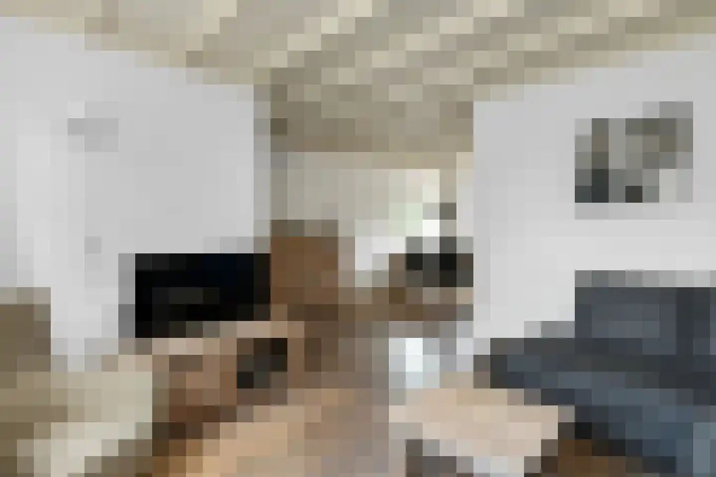 Ganzewei 18 Elst thumbnail 12