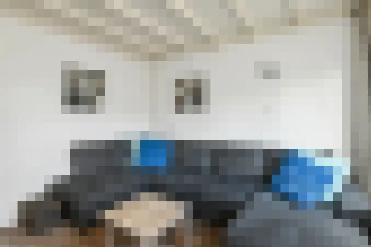 Ganzewei 18 Elst thumbnail 14