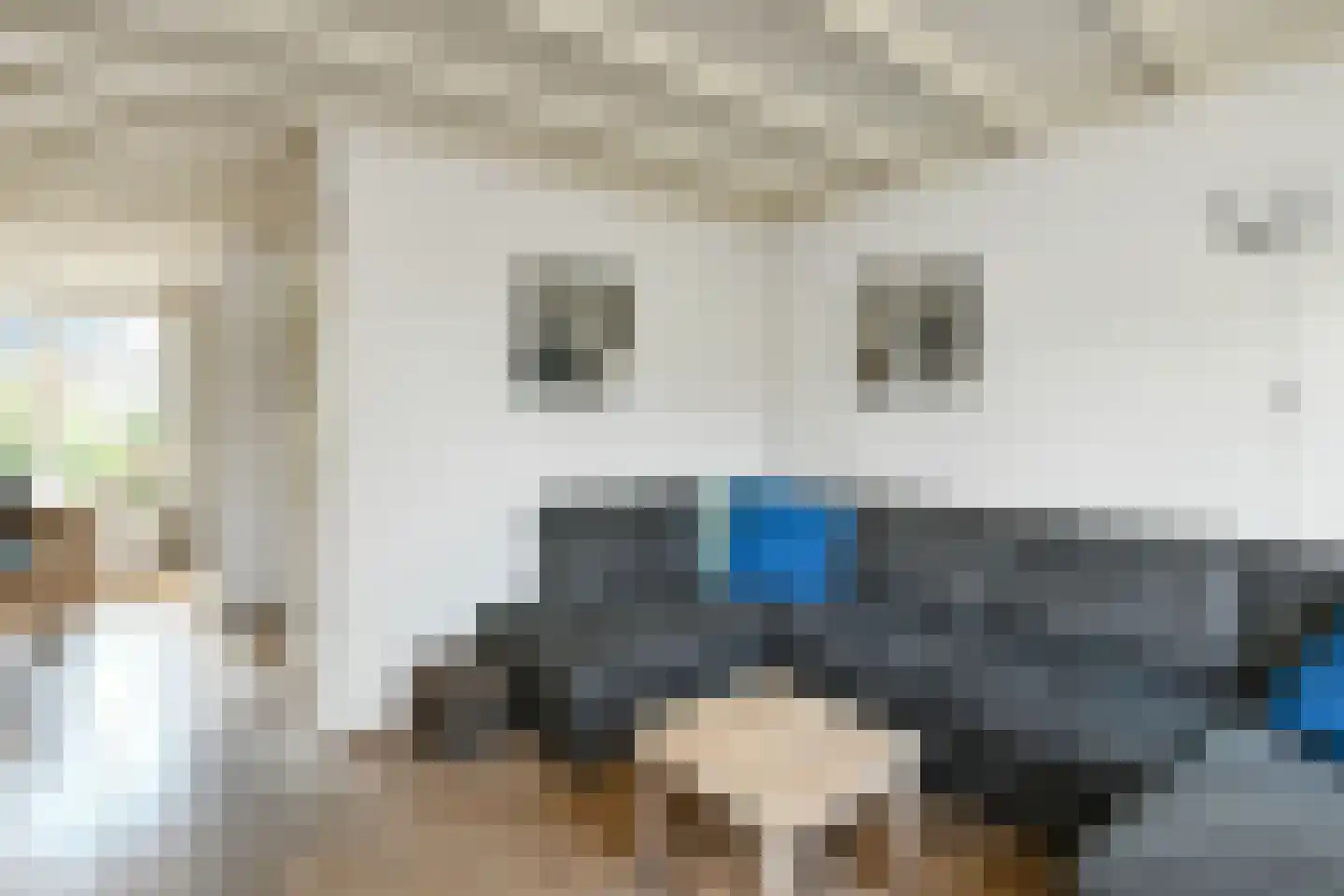 Ganzewei 18 Elst thumbnail 15