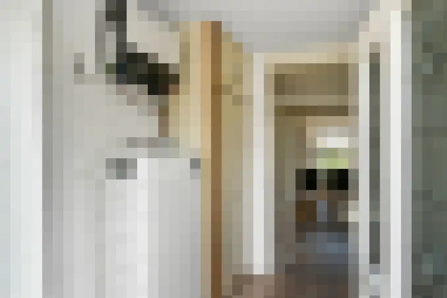 Ganzewei 18 Elst thumbnail 16
