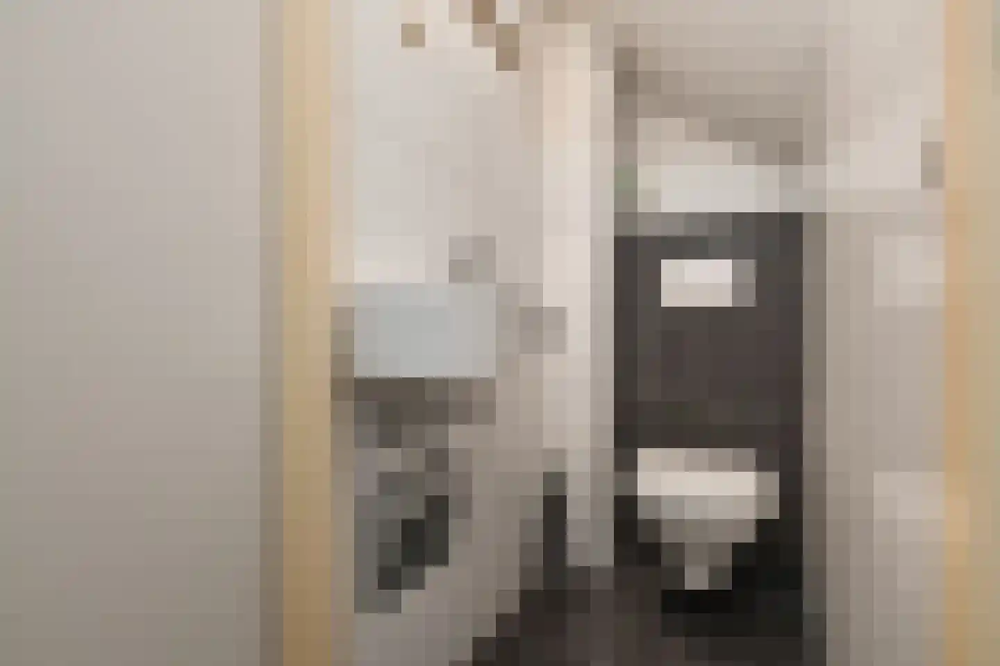 Ganzewei 18 Elst thumbnail 17