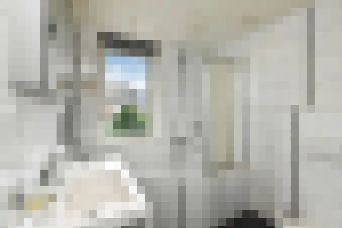 Ganzewei 18 Elst thumbnail 26
