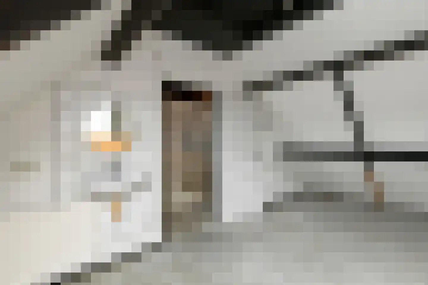 Ganzewei 18 Elst thumbnail 32
