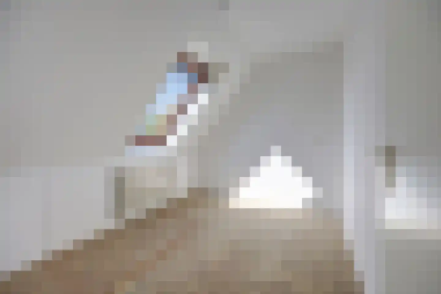 Ganzewei 3 Elst thumbnail 18