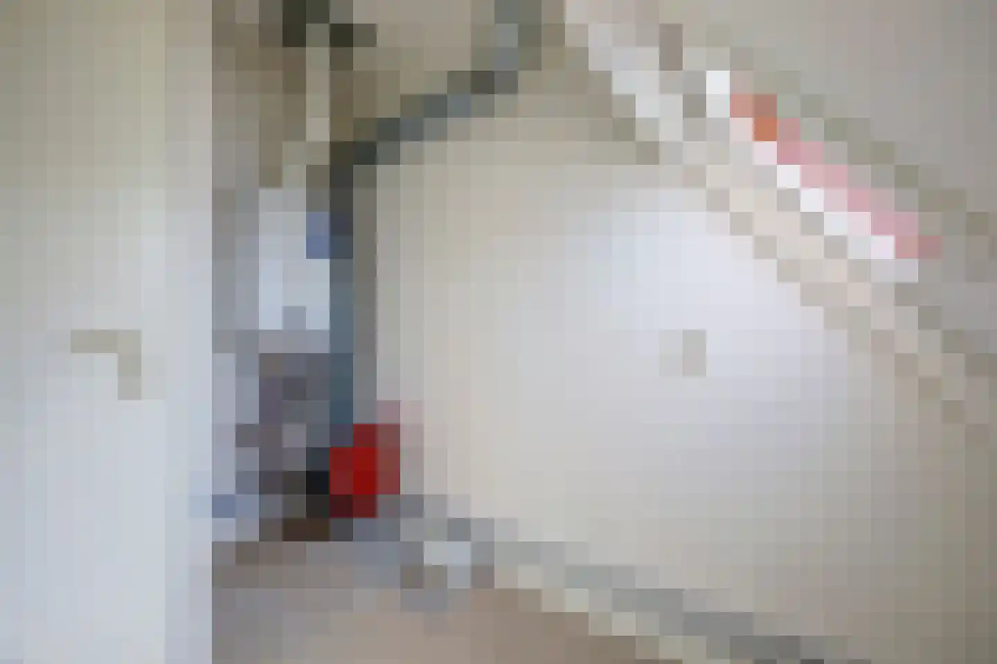Ganzewei 3 Elst thumbnail 21