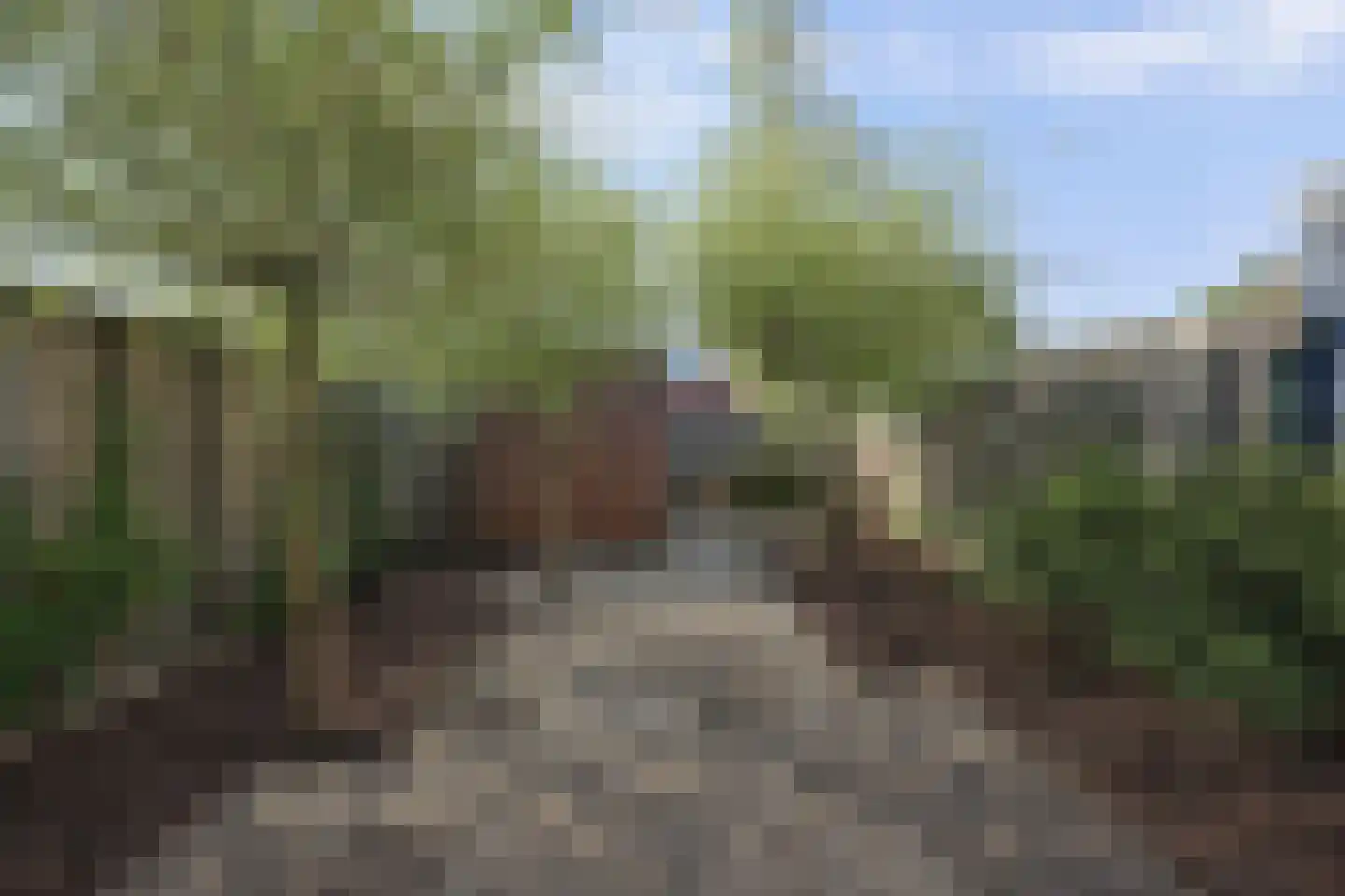 Ganzewei 3 Elst thumbnail 24