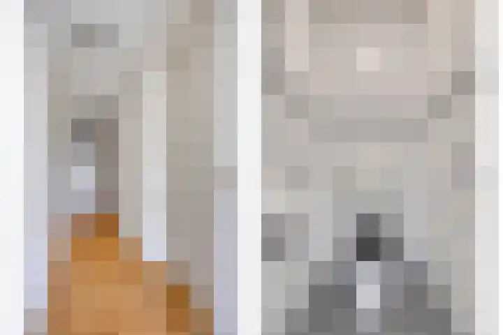 Ganzeweide 52 B Heerlen thumbnail 5