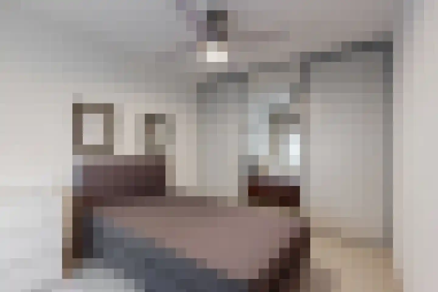 Ganzeweide 76 Heerlen thumbnail 4
